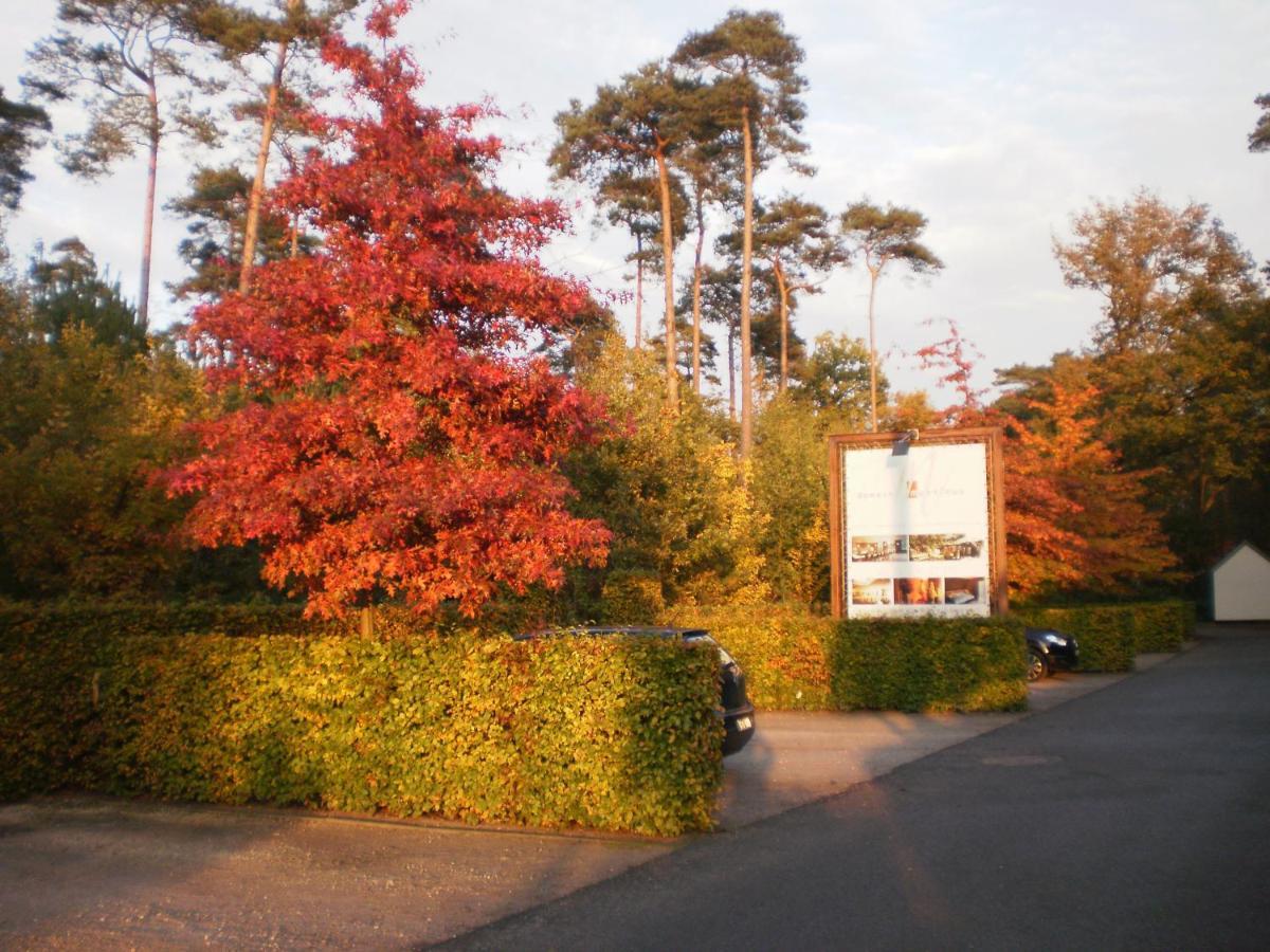 Hotel Domein Martinus Halle  Exterior foto